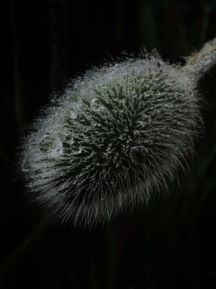 Photograph by Ольга Сучкова