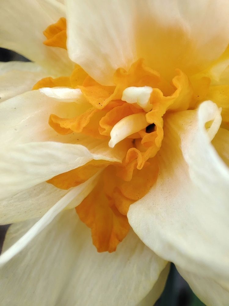 Photograph by Ольга Сучкова