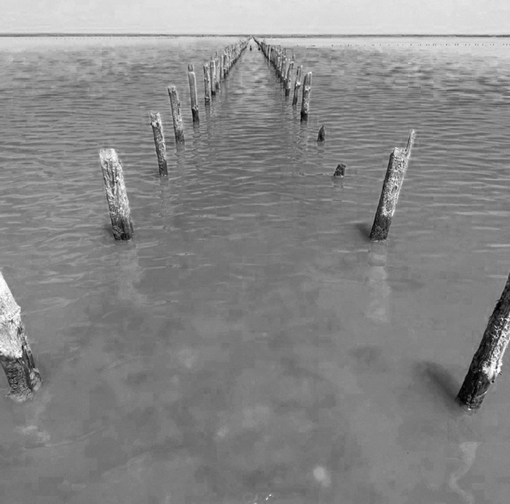 Фотография автора Татьяна Мазепова