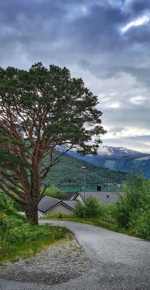 Photograph by Валентина Новицкая