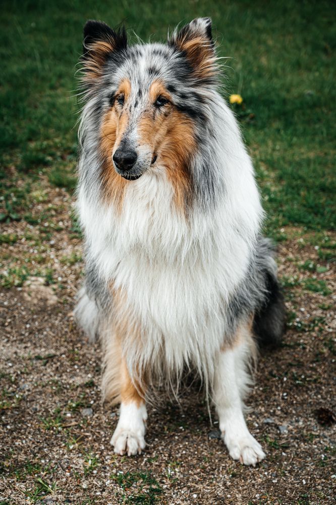 Photograph by Валентина Новицкая