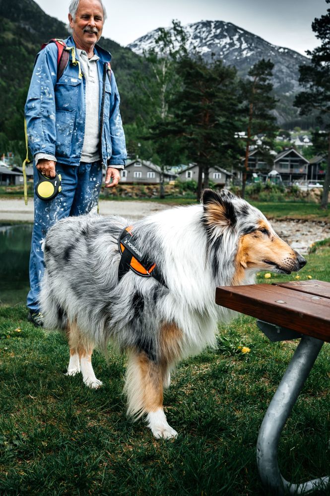 Photograph by Валентина Новицкая