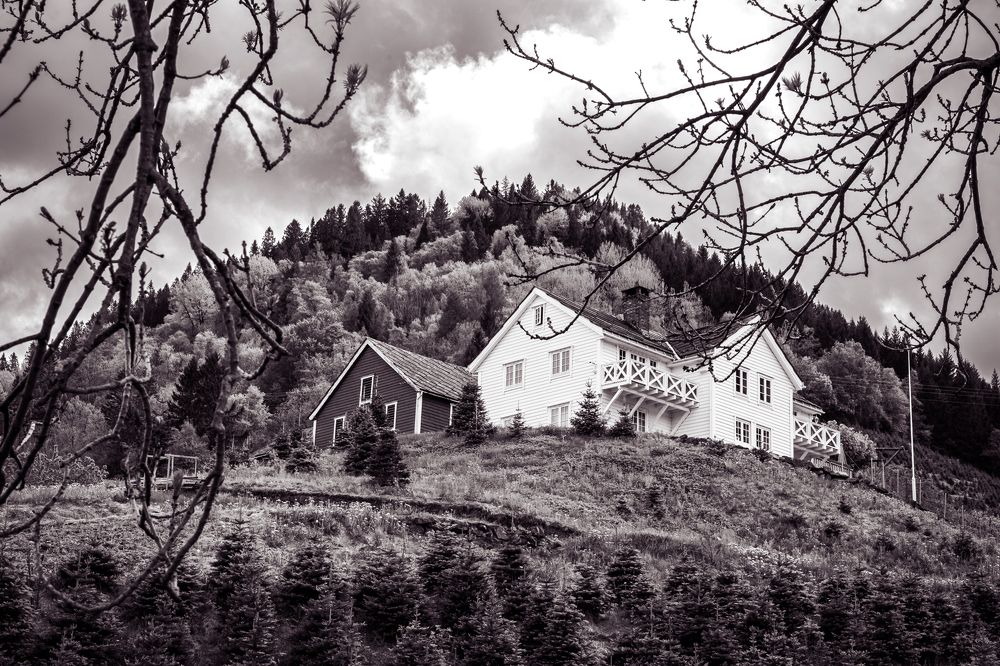 Photograph by Валентина Новицкая