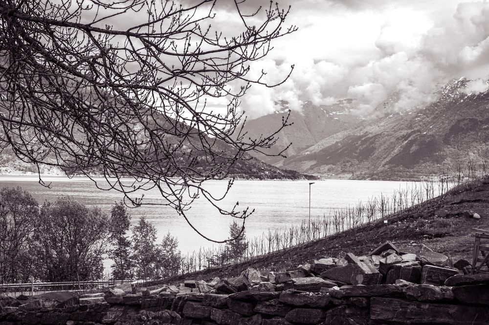 Photograph by Валентина Новицкая