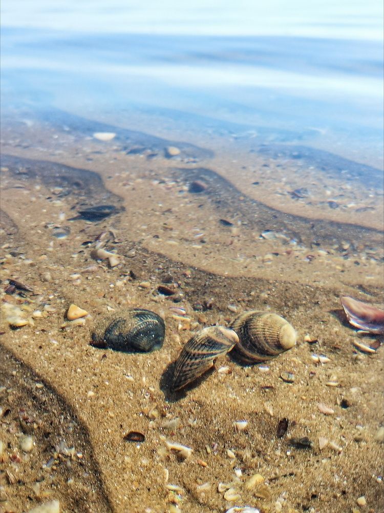 Photograph by Екатерина Першина