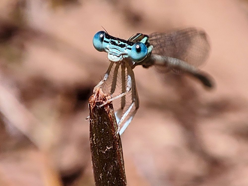 Фотография автора payman Mollaie