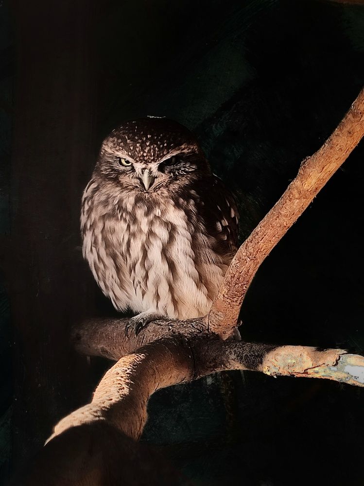 Photograph by Ольга Сучкова