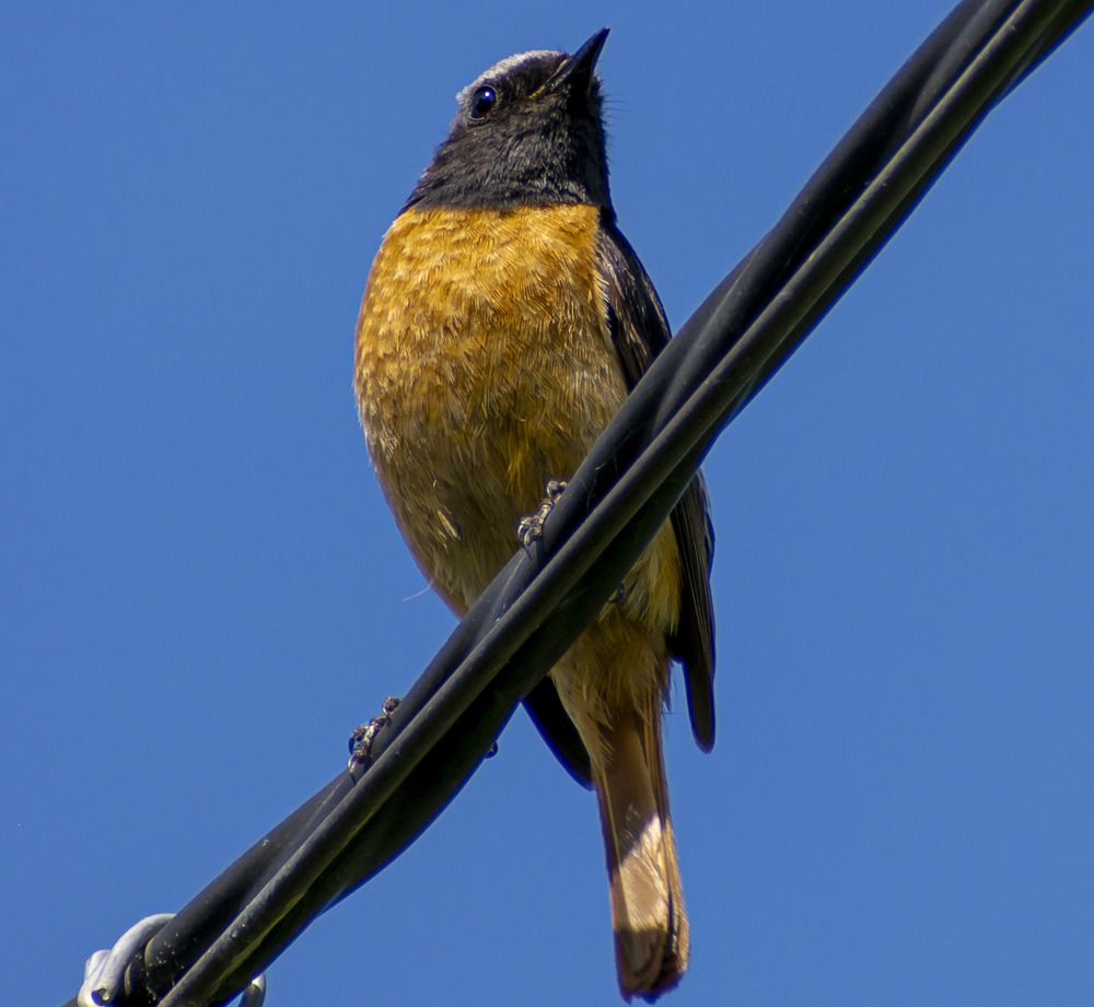 Photograph by Блохина Ольга