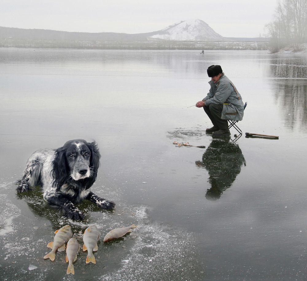 Photograph by Тамара Андреева