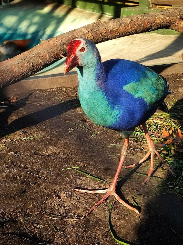 Photograph by Ольга Сучкова