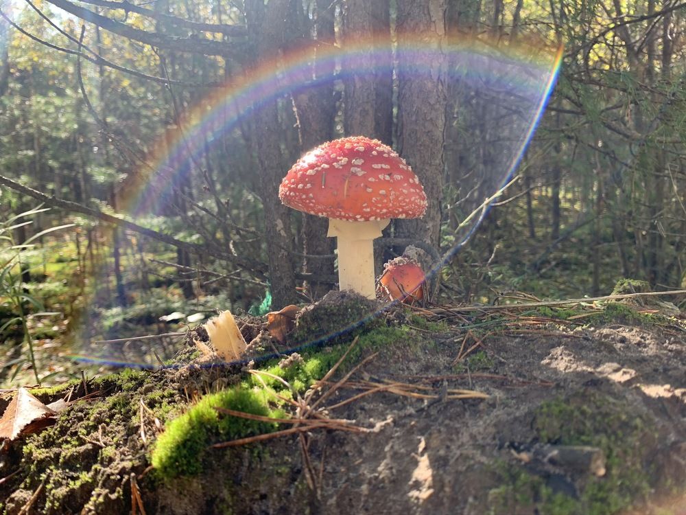 Photograph by Inna Shevchenko