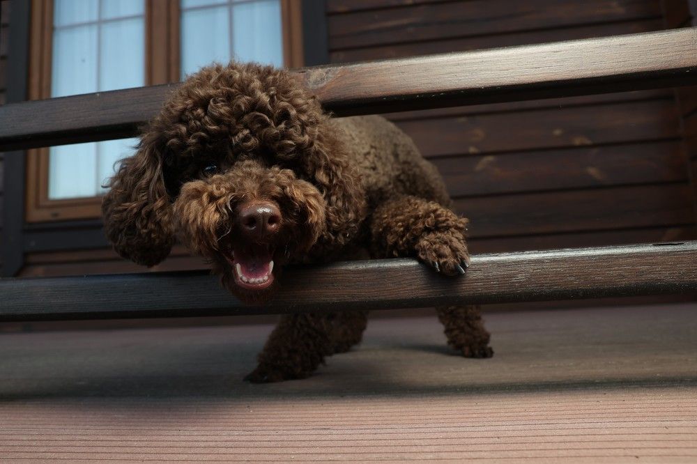 Photograph by Илья Пономарев