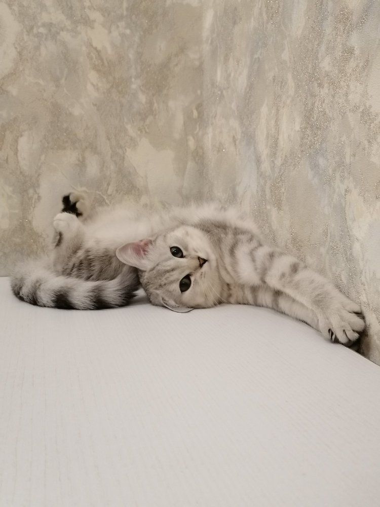 Photograph by Екатерина