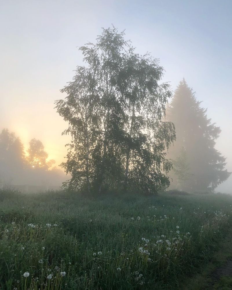 Photograph by Лариса Акинчиц