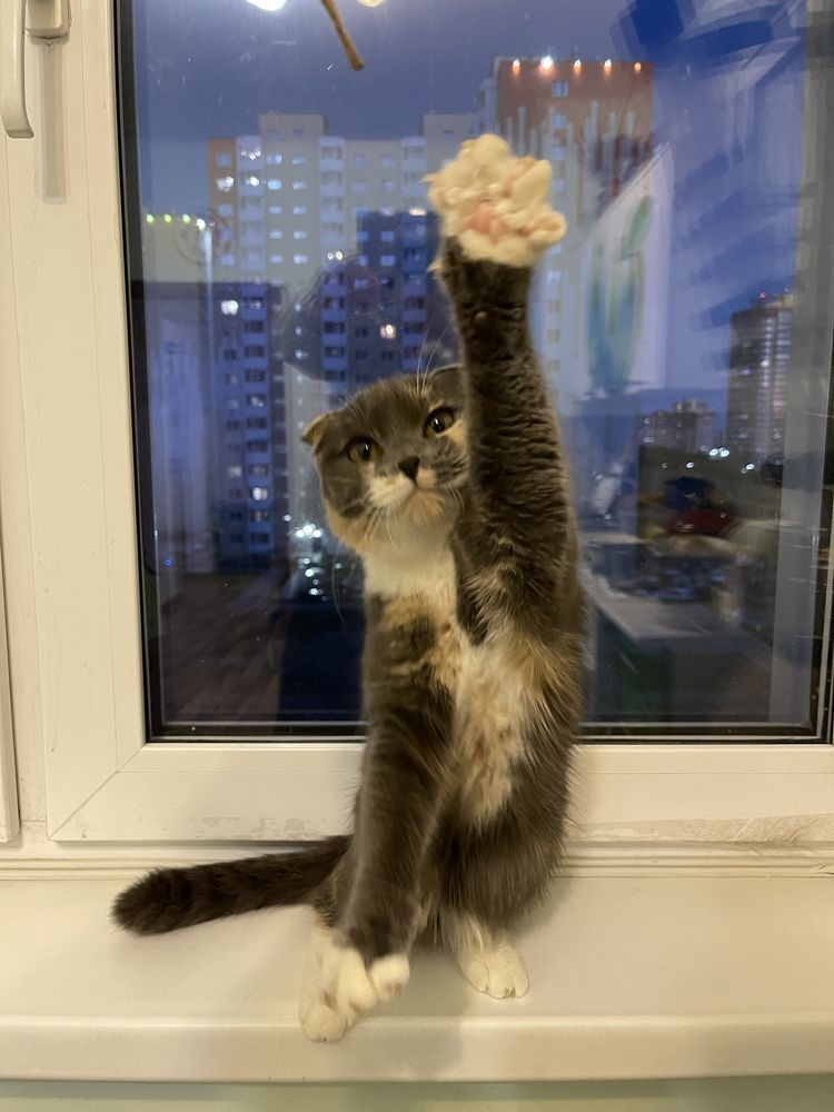 Photograph by Inna Shevchenko