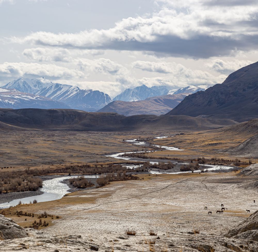 Photograph by Марина Новожилова