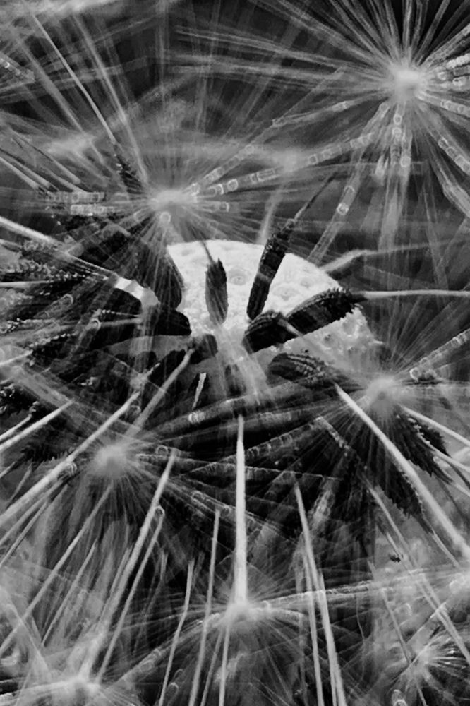 Photograph by Ирина Тимонина