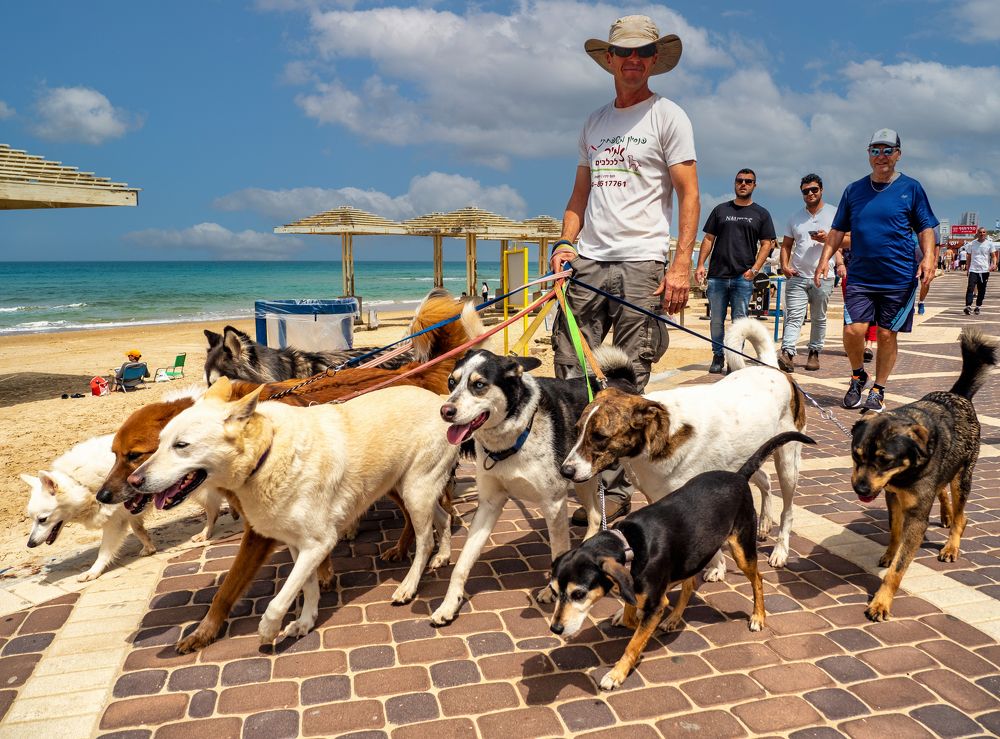 Photograph by Semion Ribinik