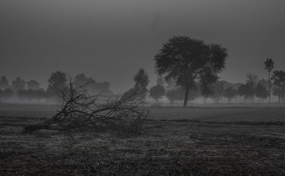 Photograph by Muhammad Ahmad