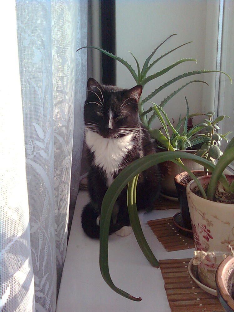 Photograph by Ольга