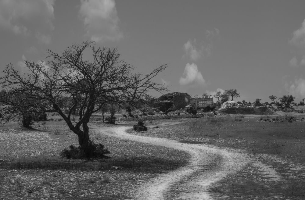 Photograph by Muhammad Ahmad