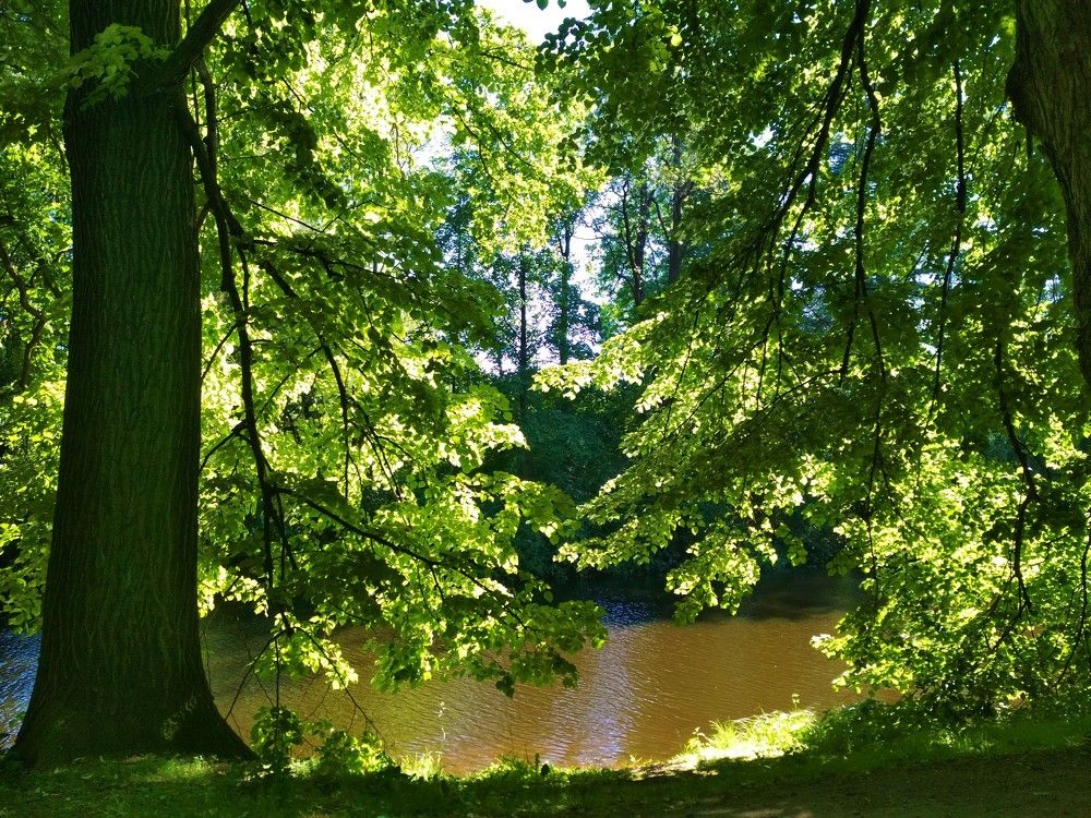 Photograph by Людмила Ковалевская