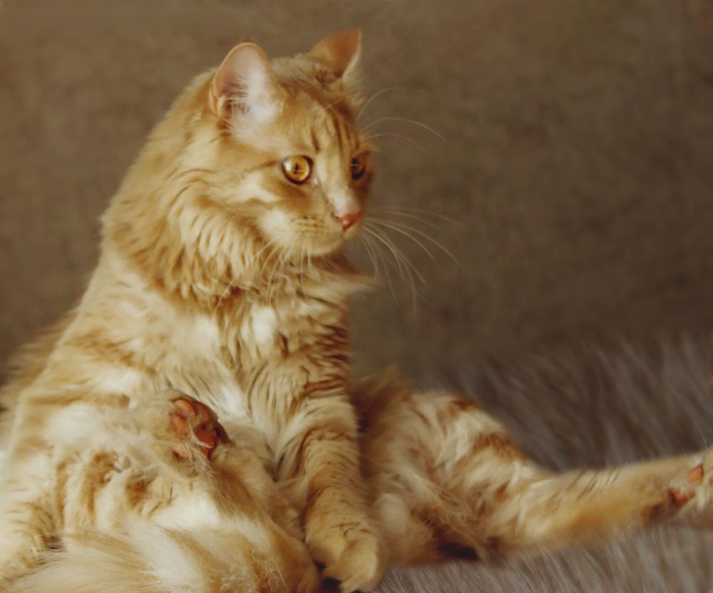 Photograph by Анна Колесниченко