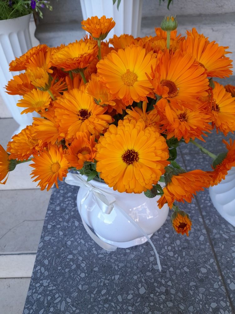 Фотография автора Revaz Topuria