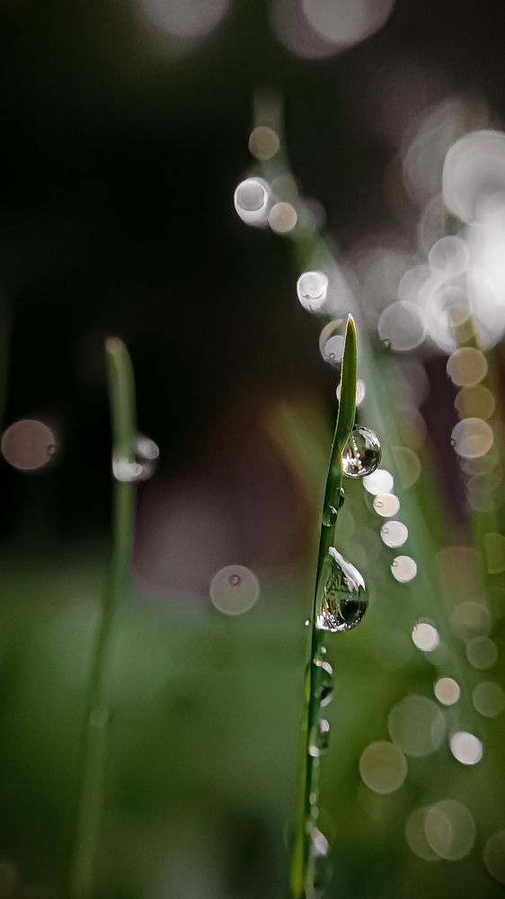 Photograph by Денис Шамров