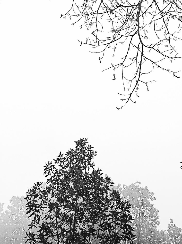 Photograph by Aryan Patil