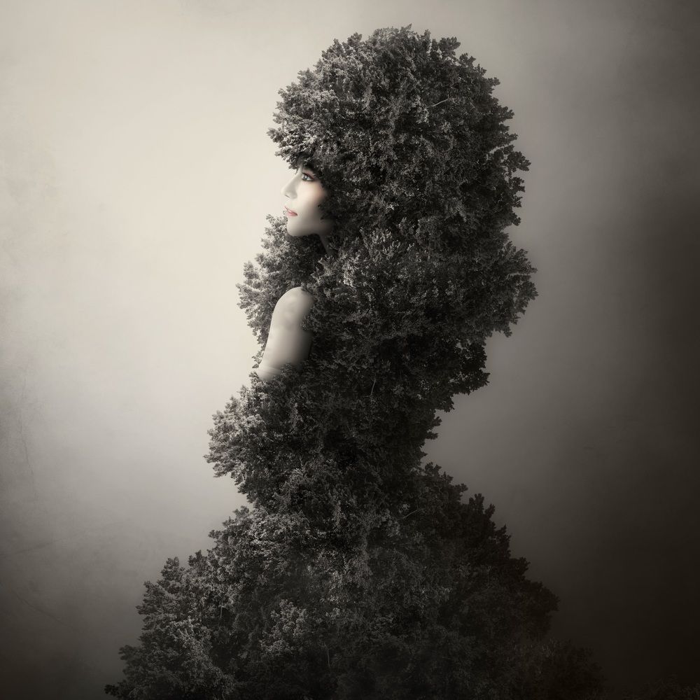 Photograph by KAWAKAMI KAZUTOSHI