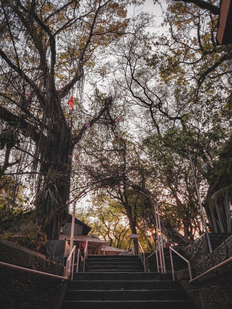 Photograph by Abhishek Das