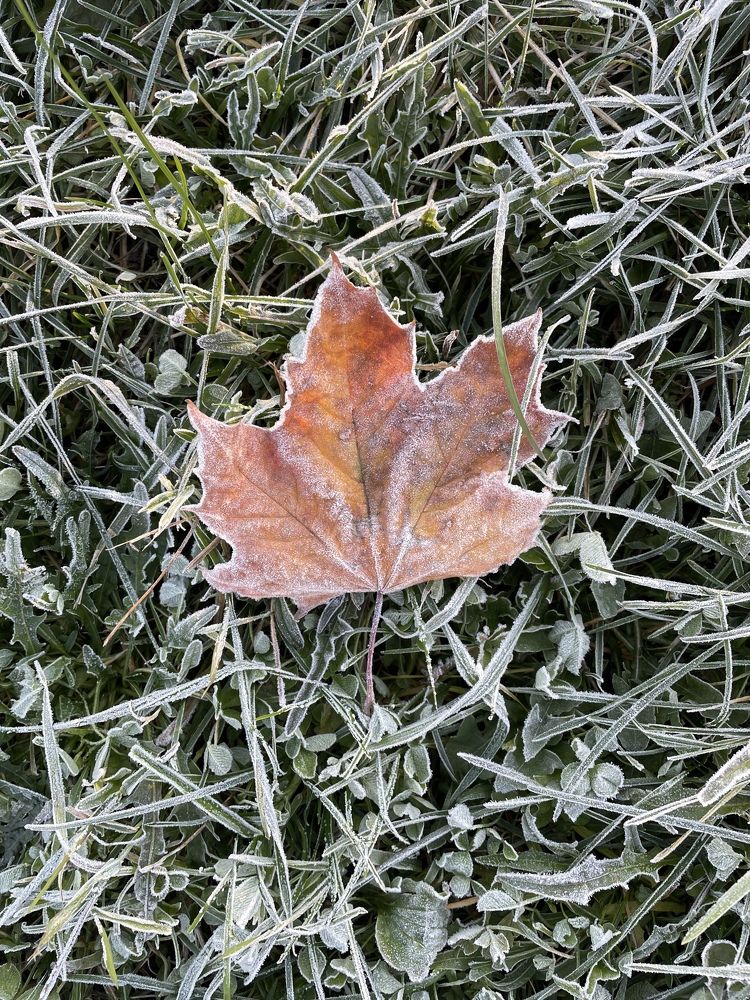 Photograph by Лия Маликова