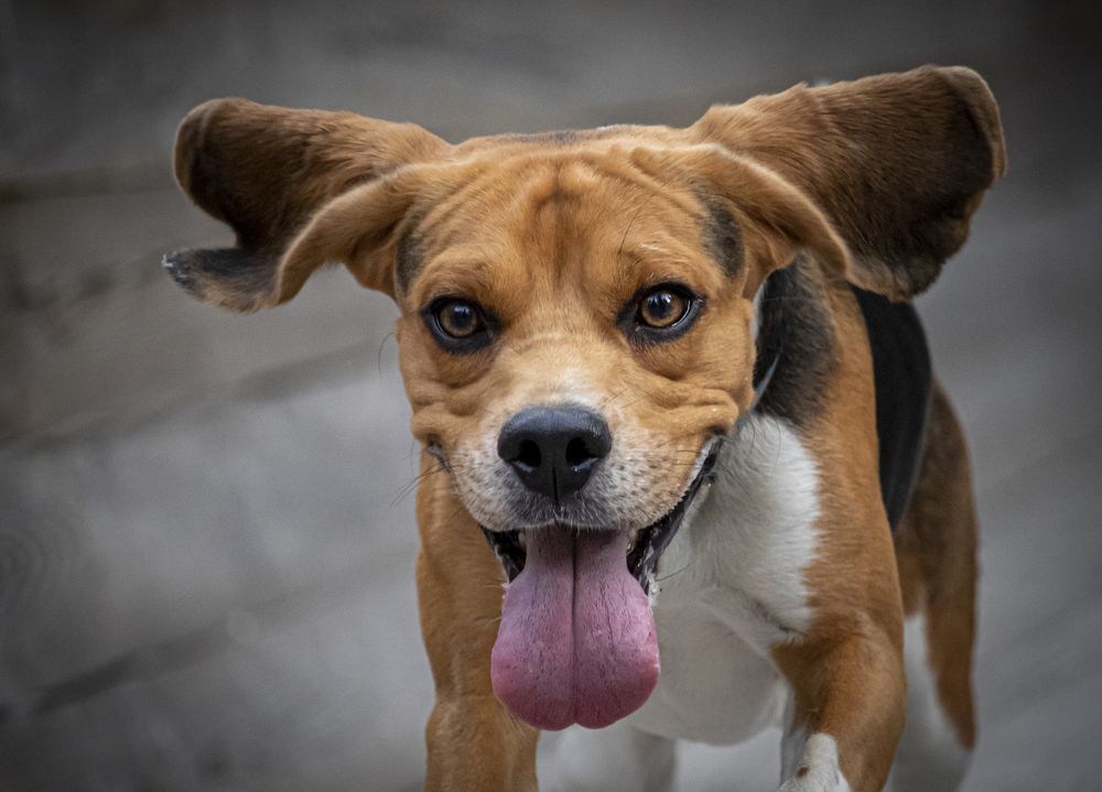 Photograph by Юлия Куликова