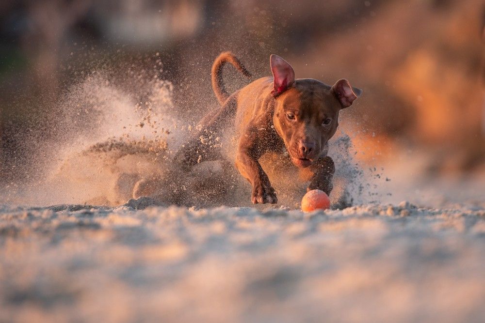 Photograph by Виола Поликарпова