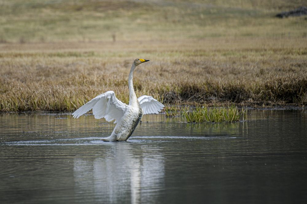 Photograph by Валентин Казанцев
