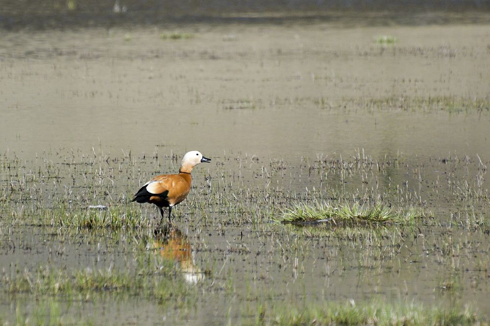 Photograph by Валентин Казанцев