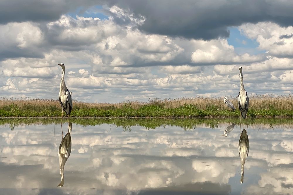 Waiting in the clouds