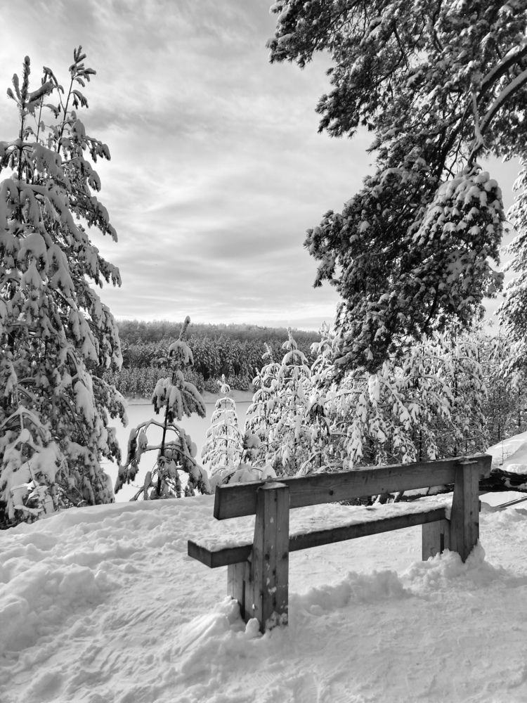 Photograph by Jelena Smala