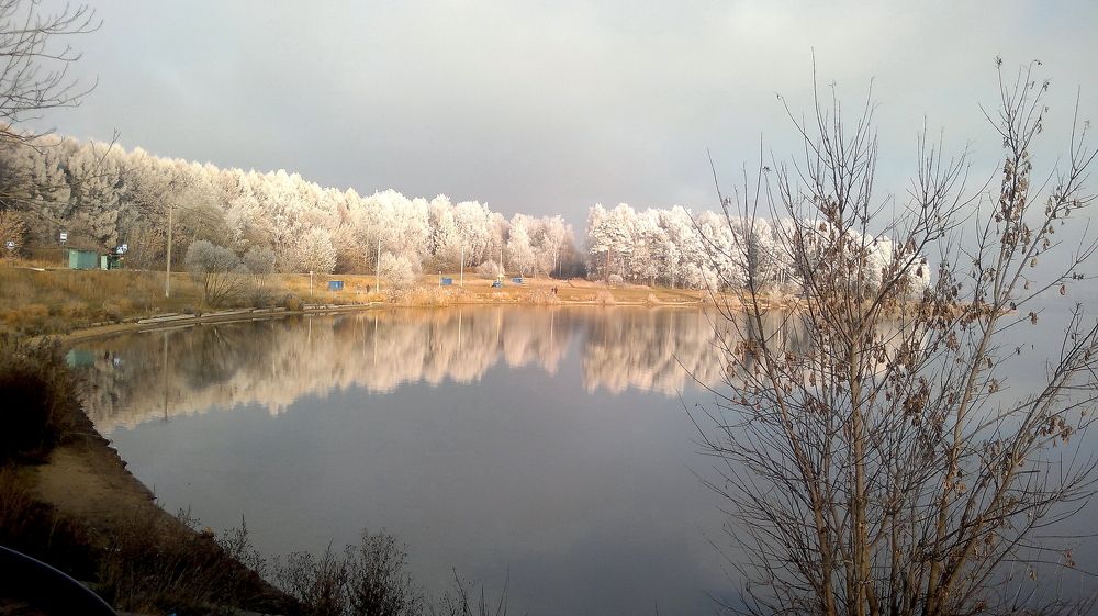 Photo #7656476