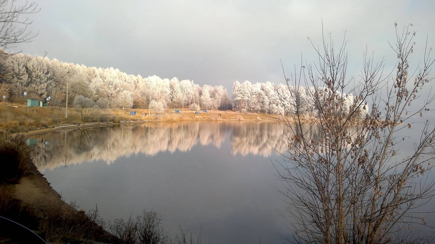 Photo #7656476