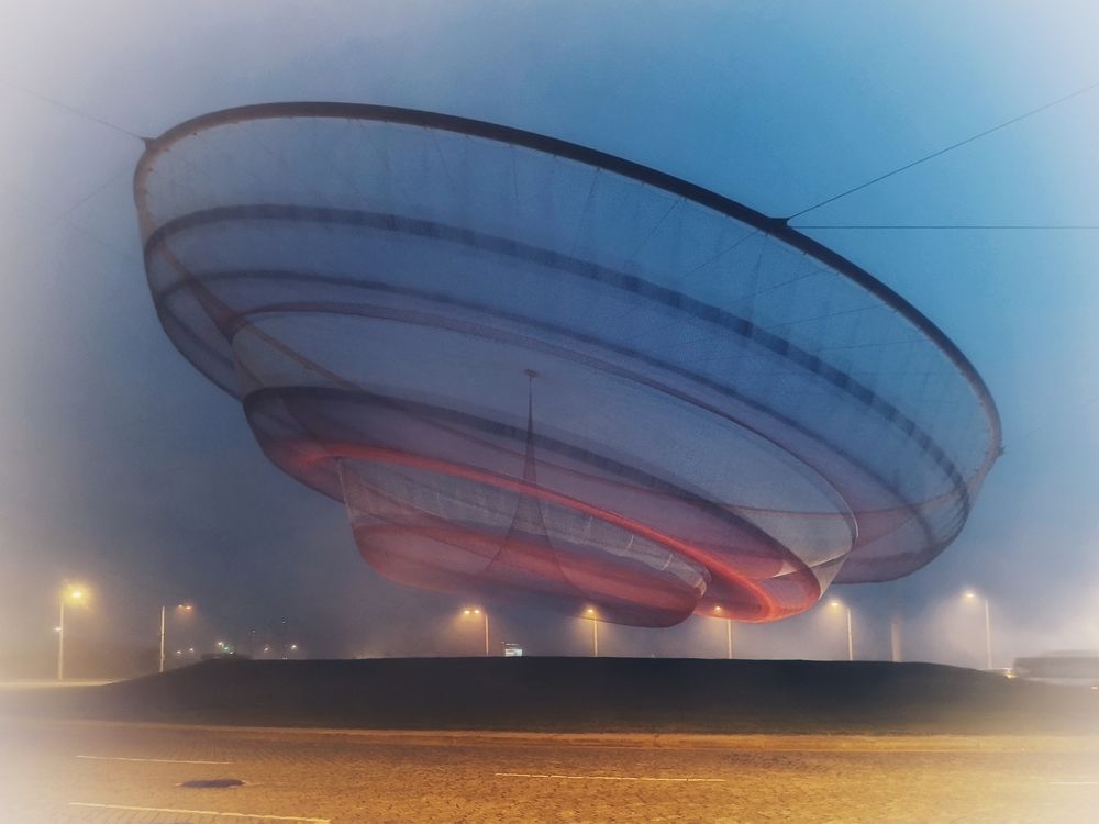 Anémona, Porto, Portugal