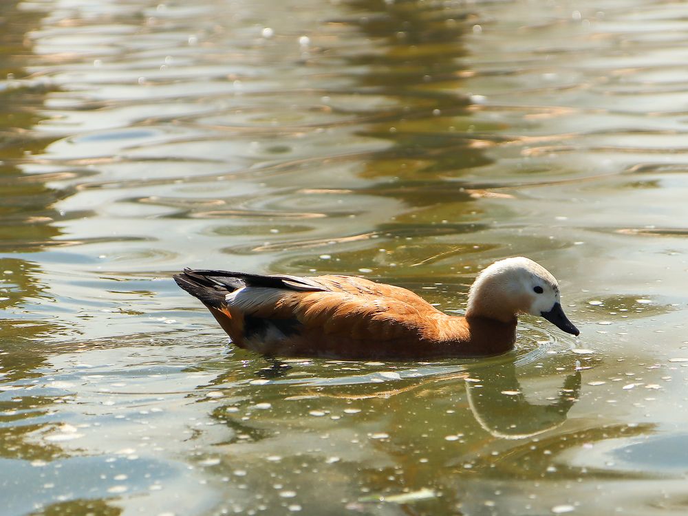 Photograph by Екатерина Слепнева