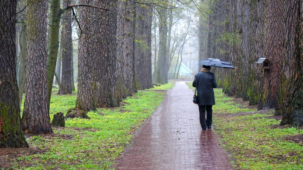 Photograph by Блюмина Елена