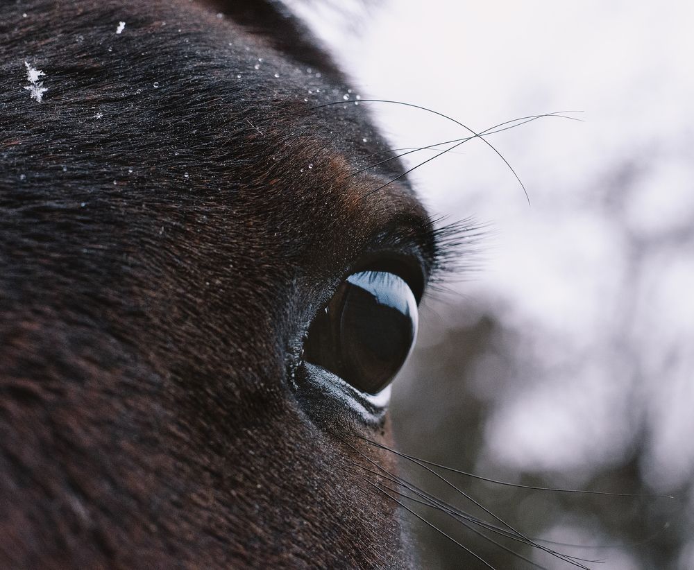 Photograph by Елена Коновалова