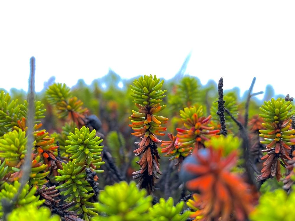 Photograph by Данил Петухов