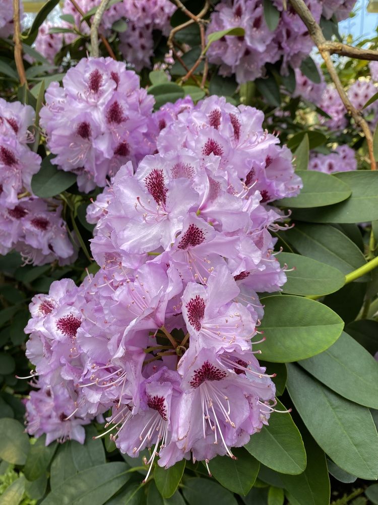 Photograph by Данил Петухов