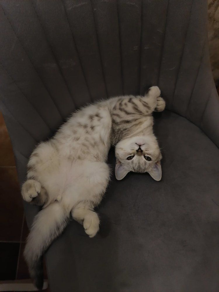 Photograph by Екатерина