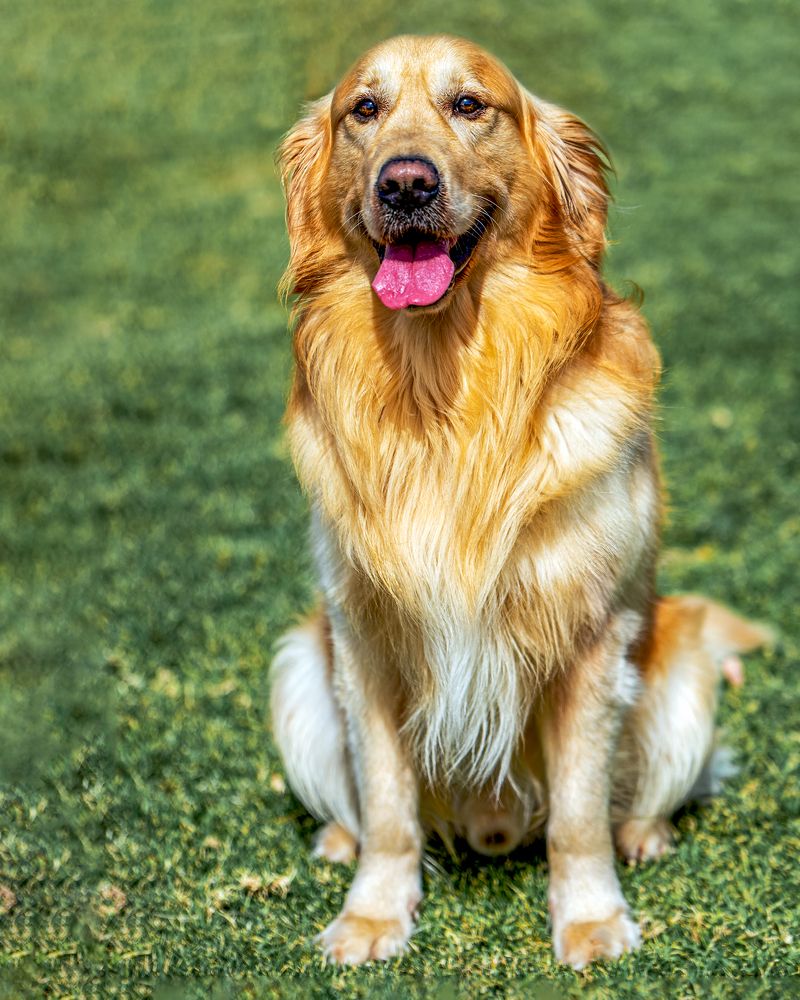 Photograph by Lyubelskiy Photography