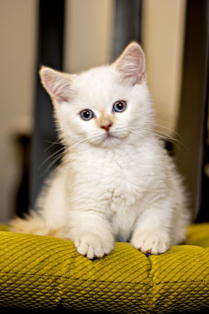 Photograph by Rasoul